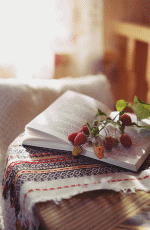 A2.gif