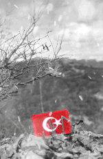 VATAN3.gif