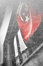 VATAN1.gif