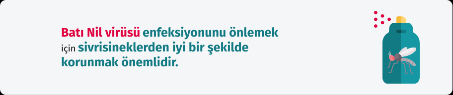 Bati-nil-atesi-nedir-sadeport-com.jpg