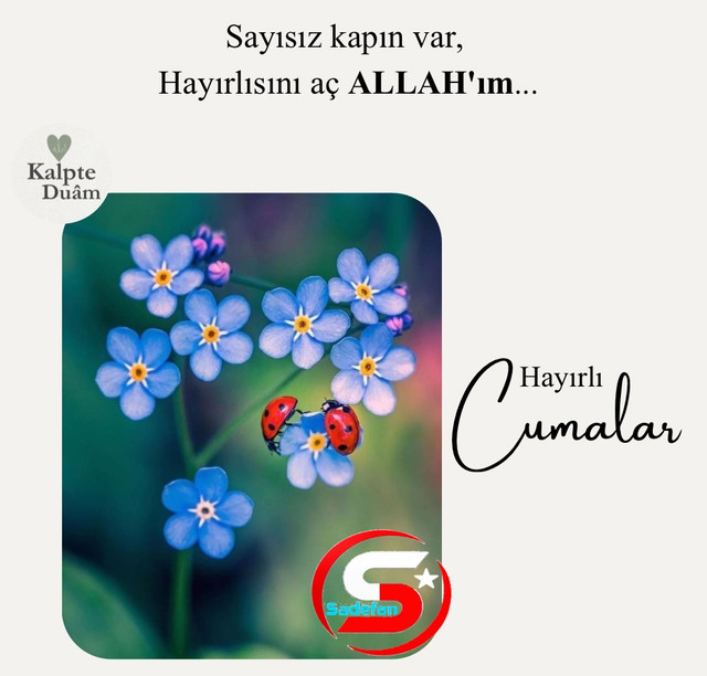 hayirlicumalar1.jpg