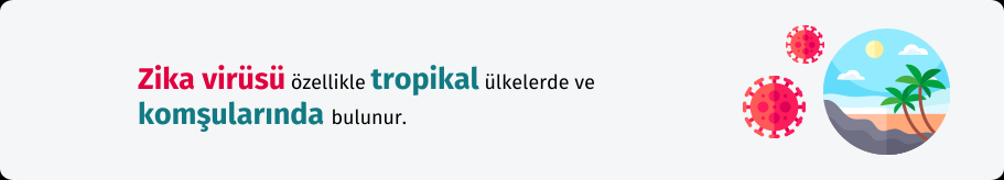 Zika-virusu-enfeksiyonu-nedir-sadeport-com.jpg