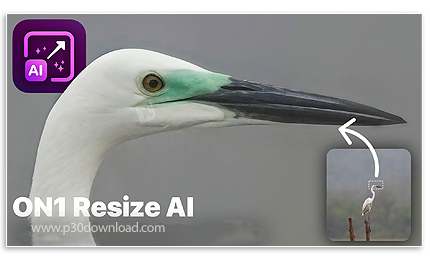 1754469423_resize-ai.jpg