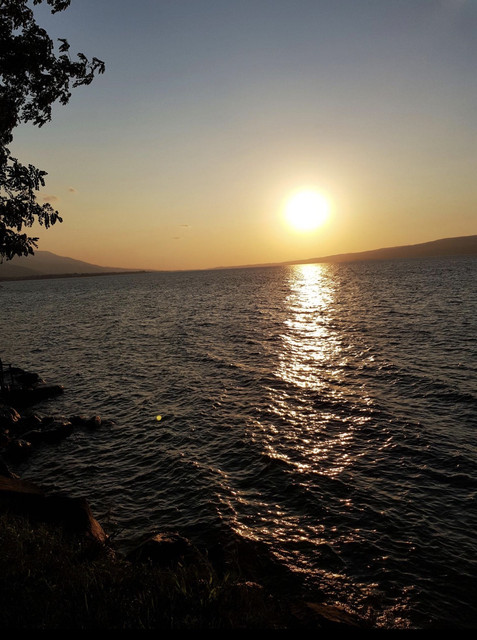 IMG-2496.jpg